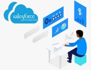 salesforce-development